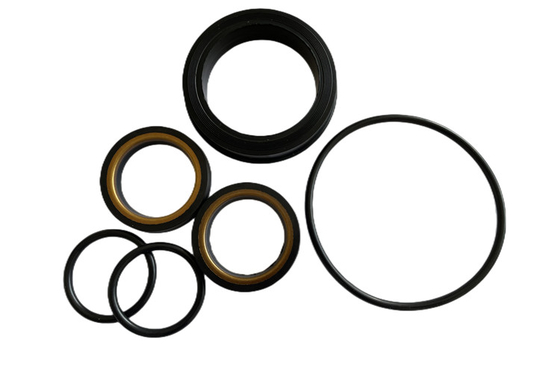 Kit de reparación de válvulas de enchufe resistentes al calor del aceite H2S -20-220 grados centígrados para el campo petrolero