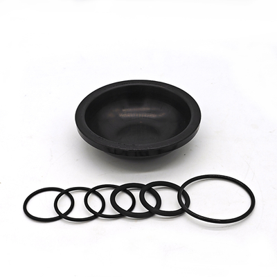 Kit de diafragma Blueflex para bombas AR30/40 NBR resistente al aceite o caucho FKM