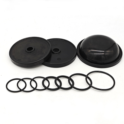 Kit de diafragma Blueflex para bombas AR30/40 NBR resistente al aceite o caucho FKM