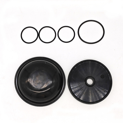 Kit de diafragma Blueflex para las bombas Ar30/40