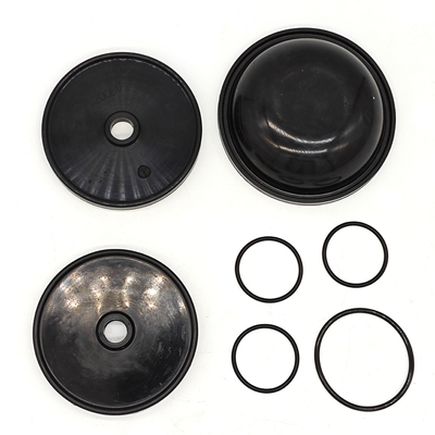 Kit de diafragma Blueflex para las bombas Ar30/40