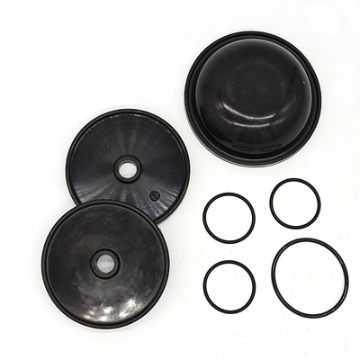 Kit de diafragma Blueflex para las bombas Ar30/40