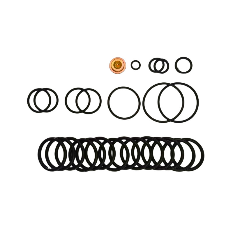 Disponible para OEM/ODM, enchufes de puente de fluorelastómero de nitrilo 10 BP3.SEC, kits de adaptadores para el enderezamiento