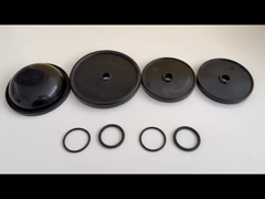 El diafragma de la bomba es una pieza de sellado vital en las bombas de diafragma y los acumuladores hidráulicos, que aseguran la eficacia de la