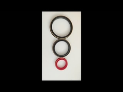 80 Shore A Brass Backup Buna Hammer Sello de la Unión